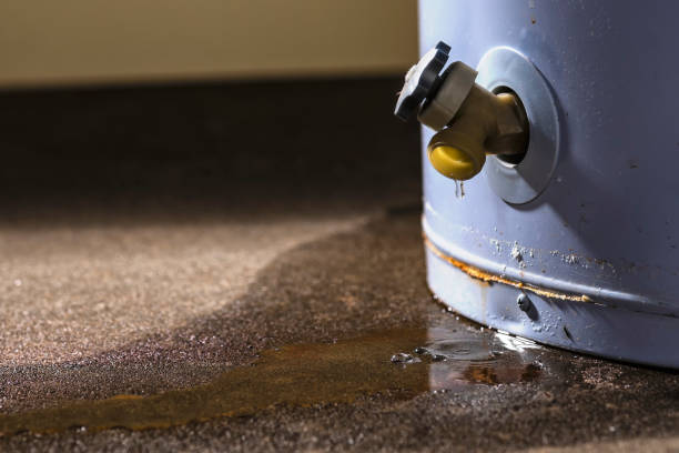 Best Flood damage cleanup  in Clifton, CO