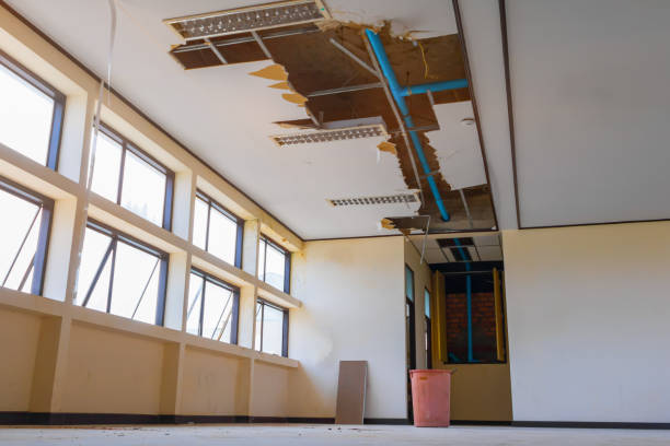 Best Local water damage restoration  in Clifton, CO