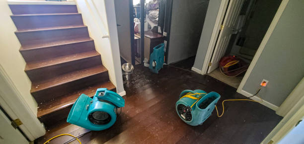 Best 24/7 water damage repair  in Clifton, CO