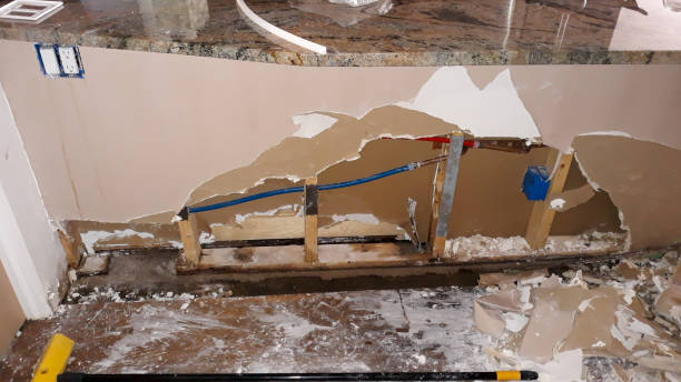 Best Ceiling water damage repair  in Clifton, CO