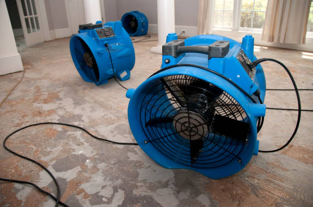 Best Water damage restoration specialists  in Clifton, CO