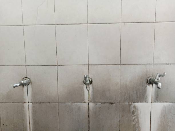 Best Emergency water extraction  in Clifton, CO