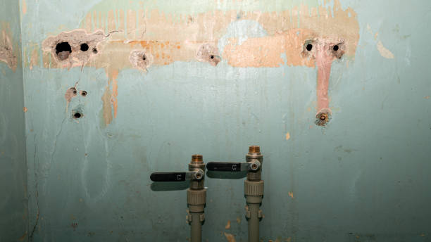 Best Basement water damage restoration  in Clifton, CO