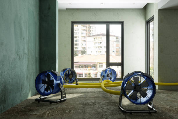 Best Fire Damage Restoration  in Clifton, CO